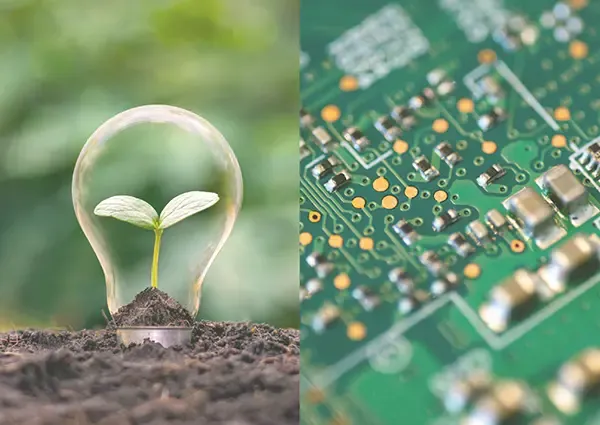 Young seedling inside a light bulb resting on soil, next to an electronic circuit board