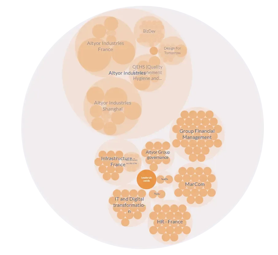 Organisation chart made of nested circles, each circle standing for an Altyor entity, team or role